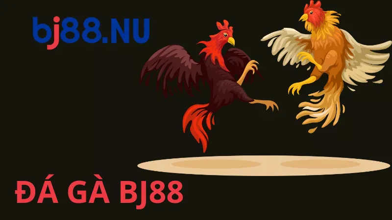 Đá gà BJ88 Sảnh chơi cá cược đấu gà hot nhất nhà cái BJ88